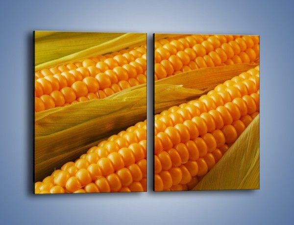 Obraz na płótnie – Kolby dojrzałych kukurydz – dwuczęściowy prostokątny pionowy JN046