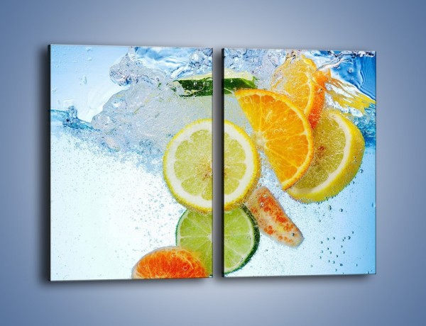 Obraz na płótnie – Zatopione plastry owoców – dwuczęściowy prostokątny pionowy JN057