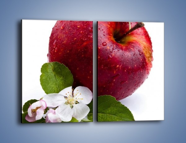 Obraz na płótnie – Polskie zdrowe jabłko – dwuczęściowy prostokątny pionowy JN102