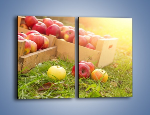 Obraz na płótnie – Jabłka skąpane w trawie – dwuczęściowy prostokątny pionowy JN628