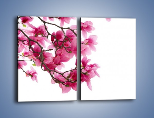 Obraz na płótnie – Kwiat wiśni na drzewie – dwuczęściowy prostokątny pionowy K003