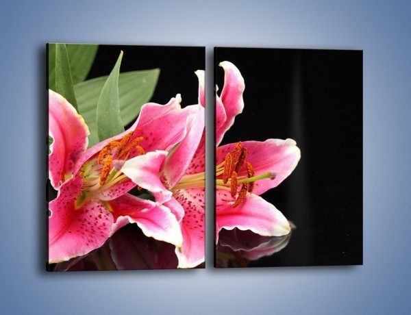 Obraz na płótnie – Rozwinięte lilie na czarnym tle – dwuczęściowy prostokątny pionowy K007