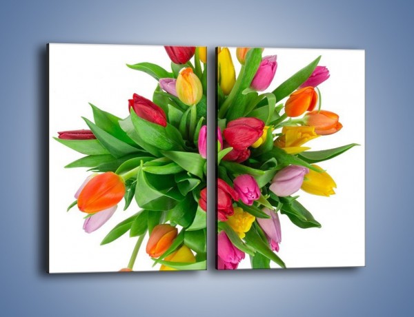 Obraz na płótnie – Wiązanka kolorowych tulipanów – dwuczęściowy prostokątny pionowy K019