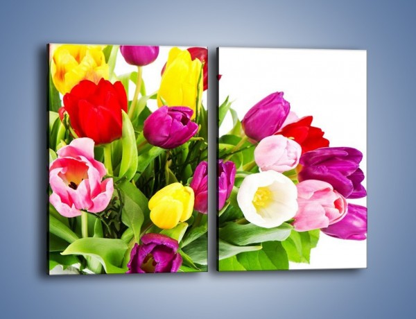 Obraz na płótnie – Kolorowe tulipany w pęku – dwuczęściowy prostokątny pionowy K023