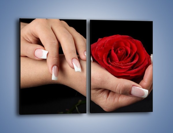 Obraz na płótnie – Czerwona róża w dłoni – dwuczęściowy prostokątny pionowy K037