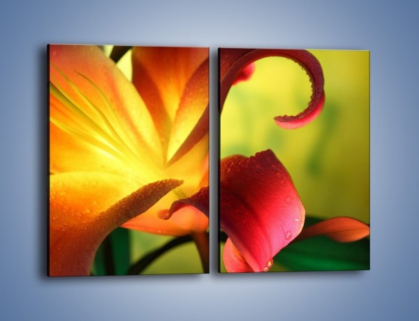Obraz na płótnie – Rozwinięta lilia w kolorze słońca – dwuczęściowy prostokątny pionowy K054