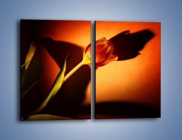 Obraz na płótnie – Tulipan w cieniu – dwuczęściowy prostokątny pionowy K064