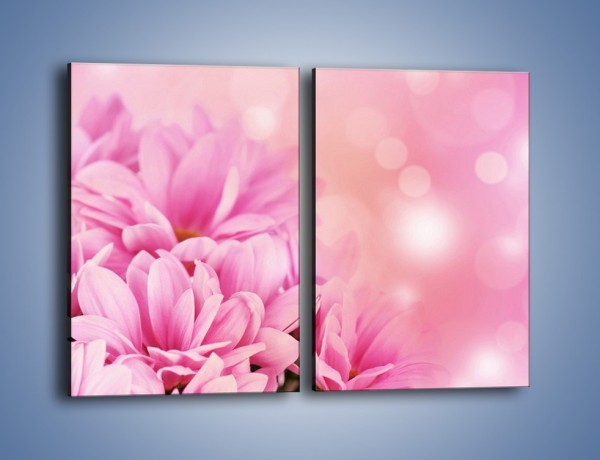 Obraz na płótnie – Kule świetlne i kwiaty – dwuczęściowy prostokątny pionowy K073