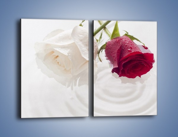 Obraz na płótnie – Róża biała czy czerwona – dwuczęściowy prostokątny pionowy K077