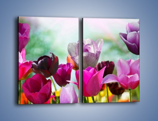 Obraz na płótnie – Tulipany o poranku – dwuczęściowy prostokątny pionowy K081