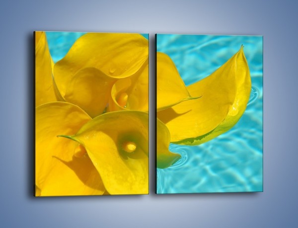 Obraz na płótnie – Żółte kalie na wodzie – dwuczęściowy prostokątny pionowy K082