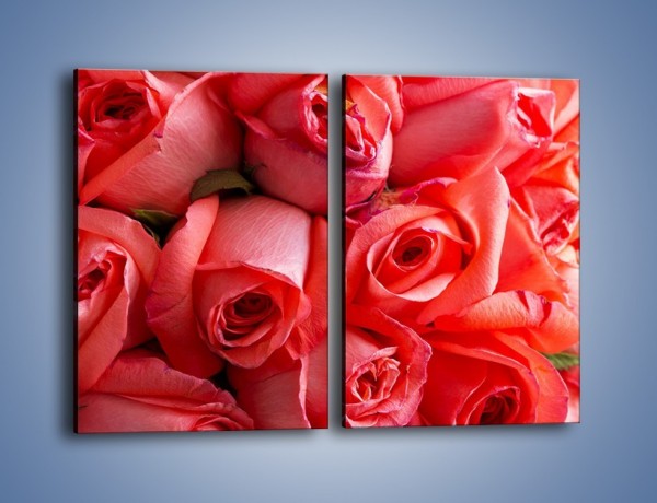 Obraz na płótnie – Tylko widoczne róże – dwuczęściowy prostokątny pionowy K1004