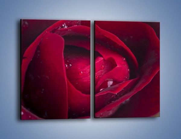 Obraz na płótnie – Ukryte myśli róży – dwuczęściowy prostokątny pionowy K1018