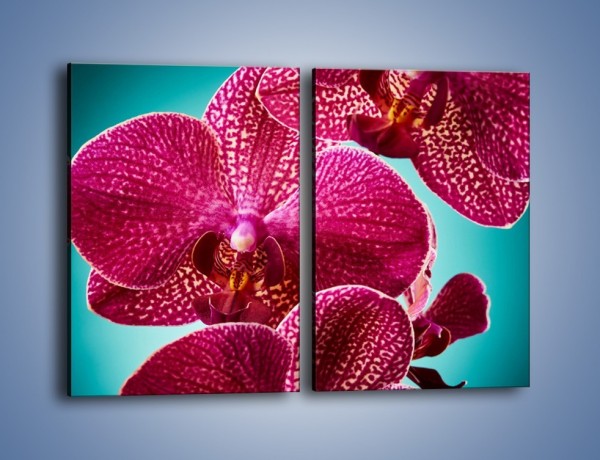 Obraz na płótnie – Płaty kwiatów i niebieskie tło – dwuczęściowy prostokątny pionowy K1019
