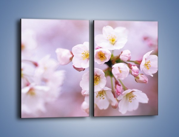 Obraz na płótnie – Gałązka kwiatów jabłoni – dwuczęściowy prostokątny pionowy K102