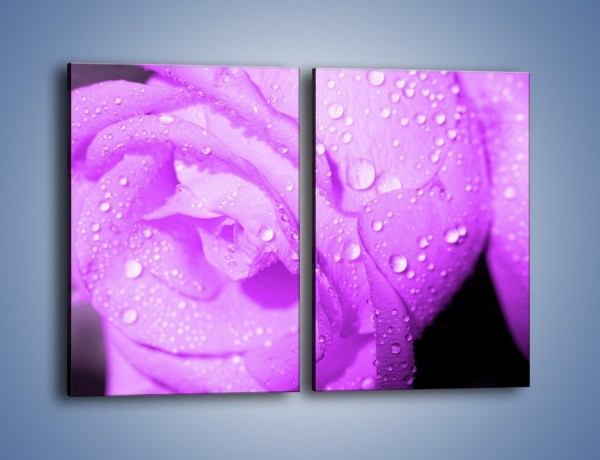 Obraz na płótnie – Jasno fioletowe skropione płatki – dwuczęściowy prostokątny pionowy K1020