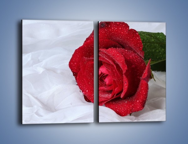 Obraz na płótnie – Bordowa róża na białej pościeli – dwuczęściowy prostokątny pionowy K1023