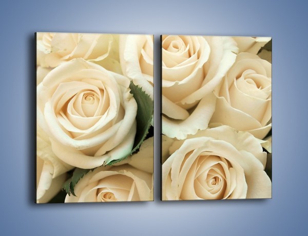 Obraz na płótnie – Głowy śmietanowych róż – dwuczęściowy prostokątny pionowy K105