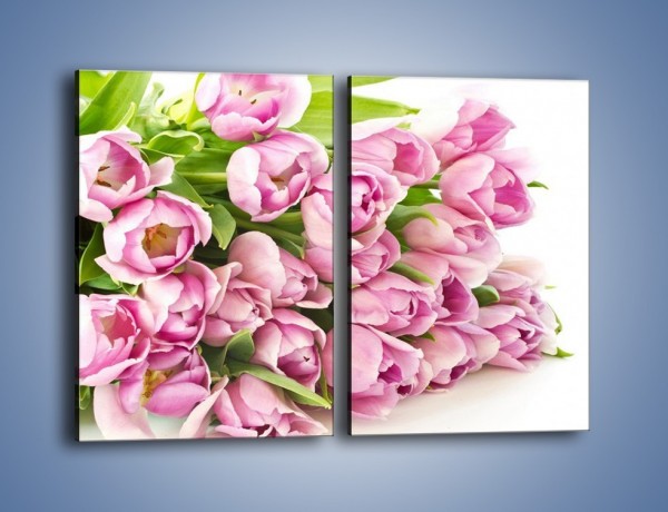 Obraz na płótnie – Ścięte tulipany w bieli – dwuczęściowy prostokątny pionowy K110