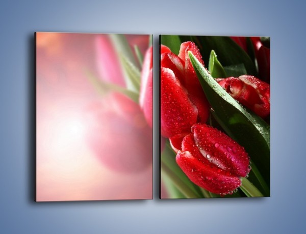 Obraz na płótnie – Ulewa nie straszna tulipanom – dwuczęściowy prostokątny pionowy K113