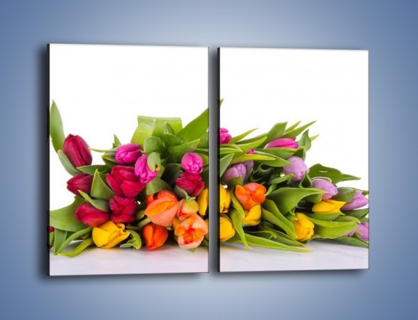 Obraz na płótnie – Kolorowe tulipany pełne luzu – dwuczęściowy prostokątny pionowy K117