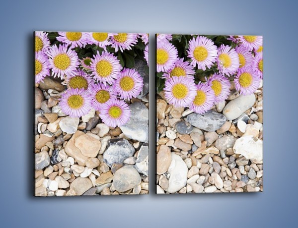 Obraz na płótnie – Kolorowe kamienie czy małe kwiatuszki – dwuczęściowy prostokątny pionowy K146