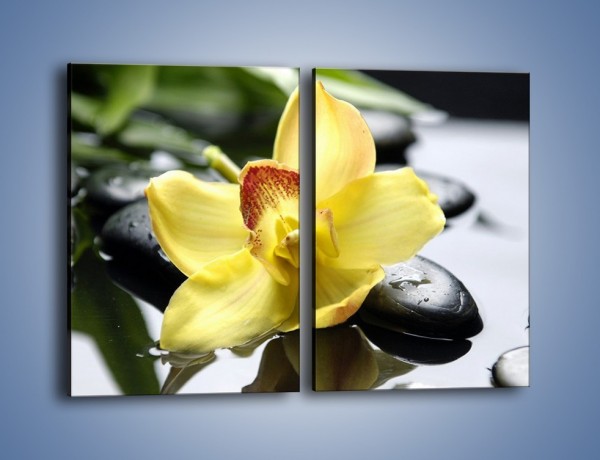 Obraz na płótnie – Żółty kwiat na mokrych kamieniach – dwuczęściowy prostokątny pionowy K155