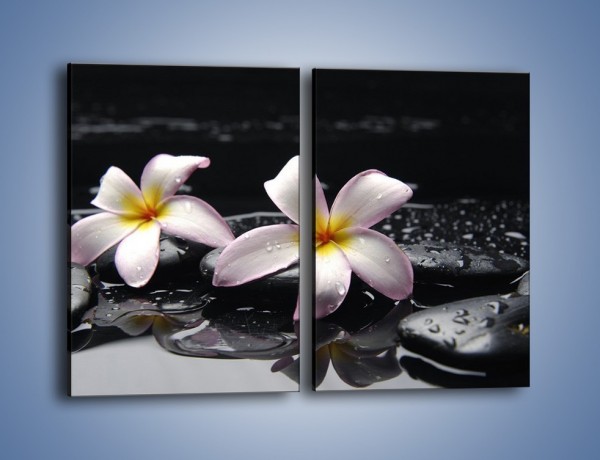 Obraz na płótnie – Delikatne kwiaty w kąpieli wodnej – dwuczęściowy prostokątny pionowy K157