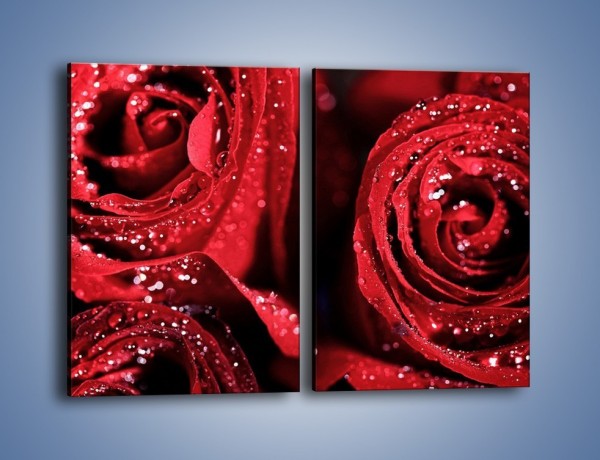 Obraz na płótnie – Róża czerwona jak wino – dwuczęściowy prostokątny pionowy K170