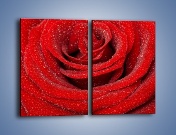 Obraz na płótnie – Czerwona moc w róży – dwuczęściowy prostokątny pionowy K171