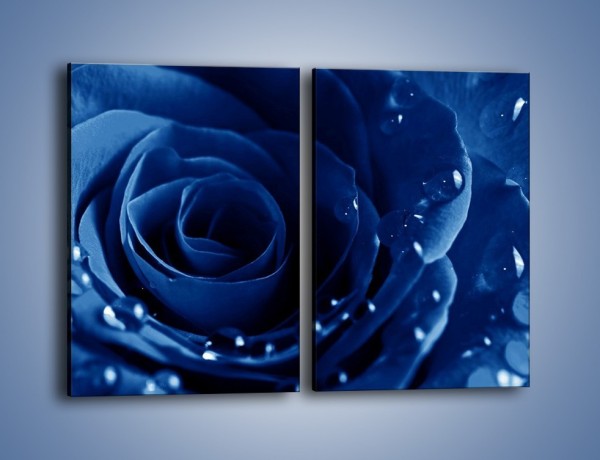 Obraz na płótnie – Noc odbita w płatkach róż – dwuczęściowy prostokątny pionowy K176