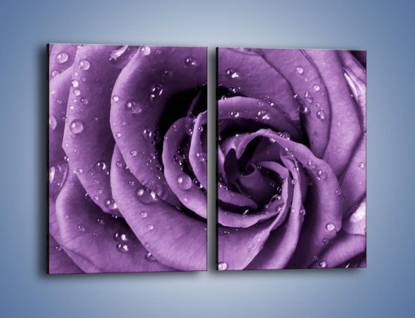 Obraz na płótnie – Głęboki fiolet zachowany w róży – dwuczęściowy prostokątny pionowy K177