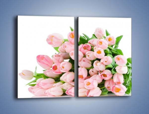 Obraz na płótnie – Wiosna w tulipanach – dwuczęściowy prostokątny pionowy K182