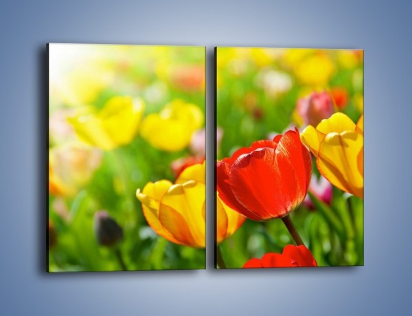 Obraz na płótnie – Wiosenne piękno w tulipanach – dwuczęściowy prostokątny pionowy K213