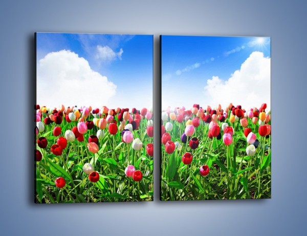 Obraz na płótnie – Droga do nieba z tulipanami – dwuczęściowy prostokątny pionowy K219