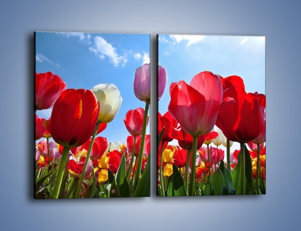 Obraz na płótnie – Kolorowy zawrót głowy z tulipanami – dwuczęściowy prostokątny pionowy K221