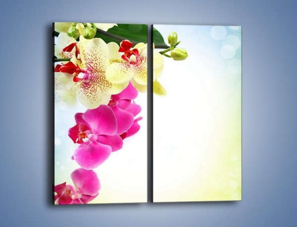 Obraz na płótnie – Krajobraz z kwiatami – dwuczęściowy prostokątny pionowy K250