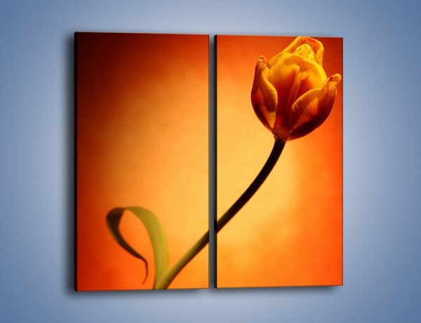 Obraz na płótnie – Zamyślony tulipan – dwuczęściowy prostokątny pionowy K256