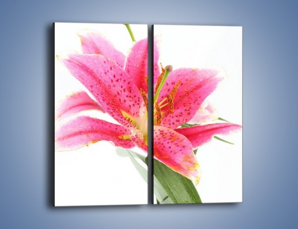 Obraz na płótnie – Rzut na lilie – dwuczęściowy prostokątny pionowy K257