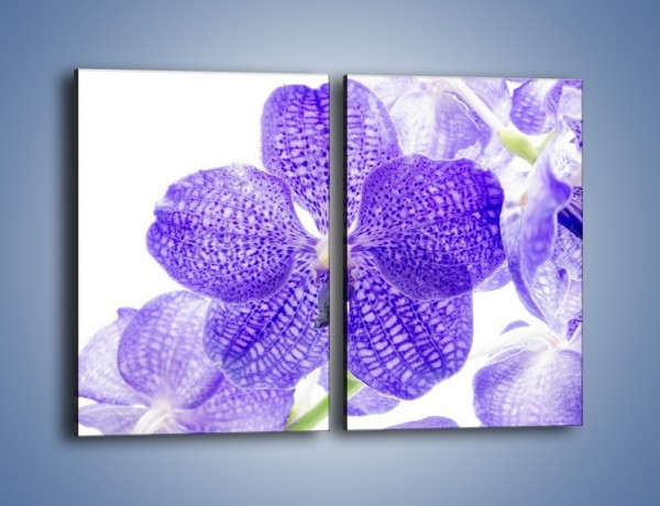 Obraz na płótnie – Jasny fiolet rządzi w kwiatach – dwuczęściowy prostokątny pionowy K259