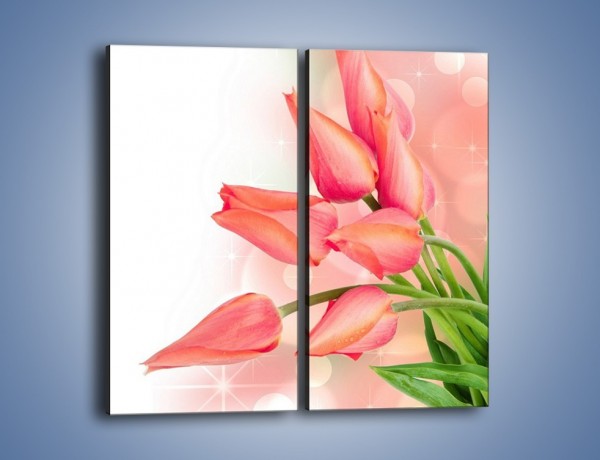 Obraz na płótnie – Dobrze zakręcone tulipany – dwuczęściowy prostokątny pionowy K265