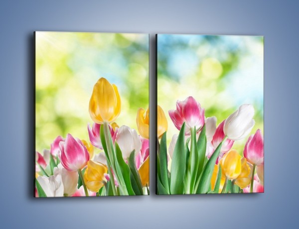 Obraz na płótnie – Tulipany pełne radości – dwuczęściowy prostokątny pionowy K278