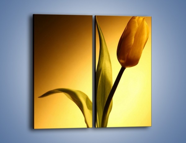 Obraz na płótnie – Tulipan w samotności – dwuczęściowy prostokątny pionowy K286