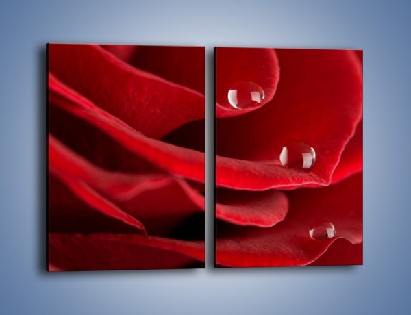 Obraz na płótnie – Krople łzy na róży – dwuczęściowy prostokątny pionowy K312