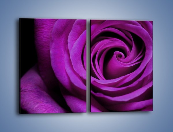 Obraz na płótnie – Tajemniczy różany fiolet – dwuczęściowy prostokątny pionowy K313