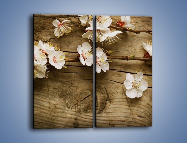 Obraz na płótnie – Kwiat jabłoni leżący na desce – dwuczęściowy prostokątny pionowy K327