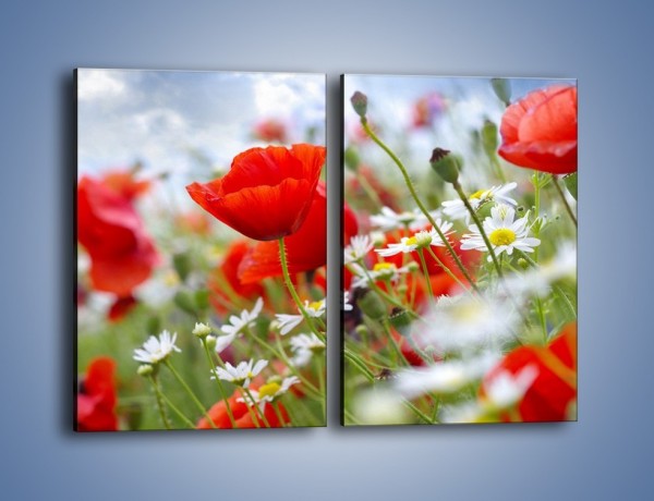 Obraz na płótnie – Polana pełna kwiatów – dwuczęściowy prostokątny pionowy K371