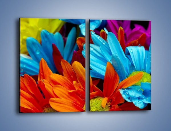 Obraz na płótnie – Kolorowo i kwiatowo – dwuczęściowy prostokątny pionowy K375