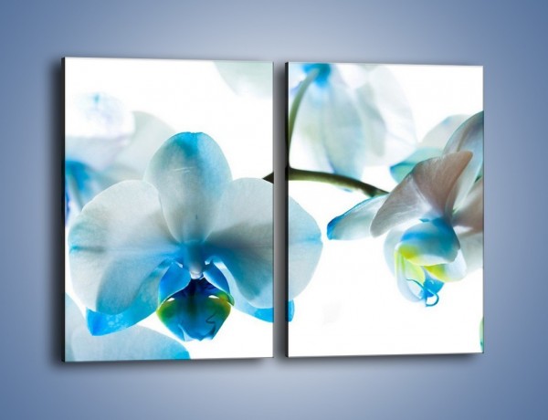 Obraz na płótnie – Turkus w kwiatach – dwuczęściowy prostokątny pionowy K382