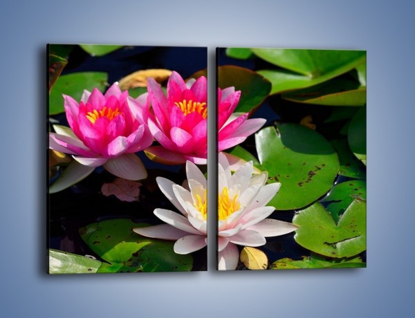 Obraz na płótnie – Pływające kwiaty – dwuczęściowy prostokątny pionowy K392